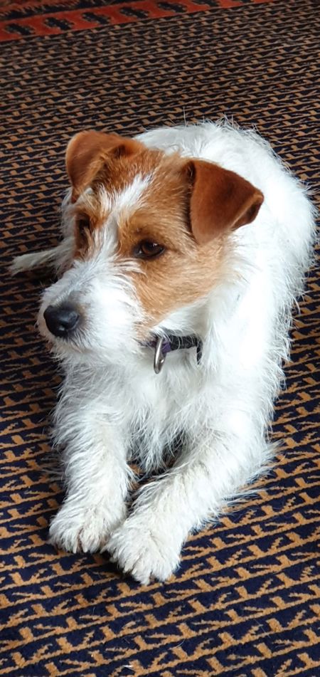 23a3b4bc-723e-4bfc-884d-89121d09e36e