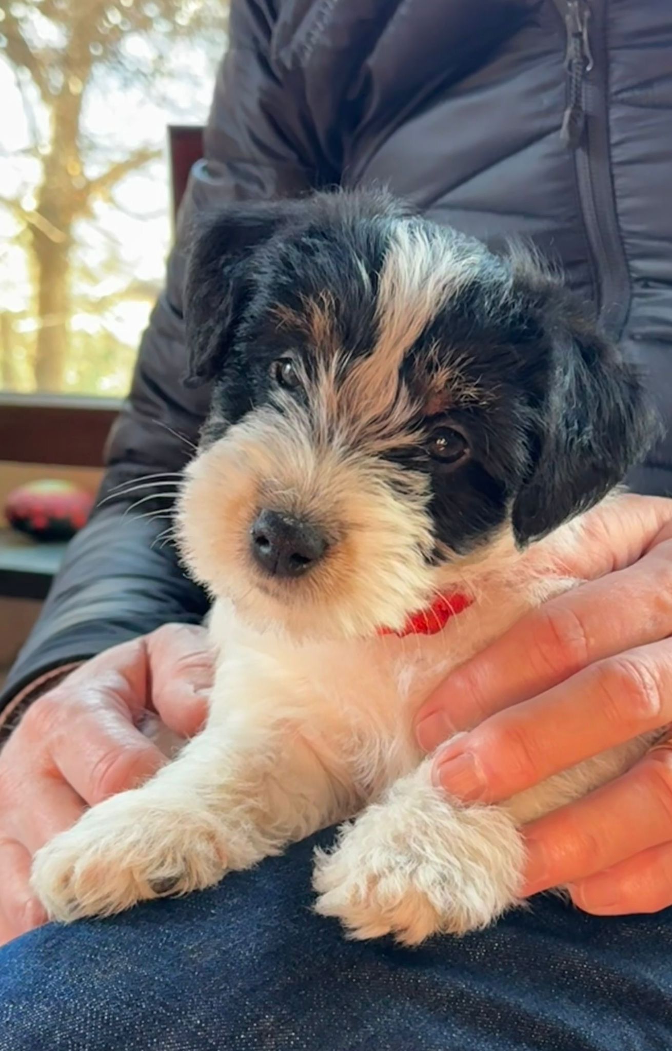 6449DD85-FB9E-40B5-97B3-AD4E6EA7128C